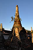 Inle Lake Myanmar. Indein, on the summit of a hill the  Shwe Inn Thein Paya a cluster of hundreds of ancient stupas. Many of them are ruined and overgrown with bushes. 